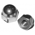 Stainless Acorn Nuts